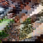 Jija Mahani profile icon