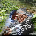 Yanti Safitrii profile icon