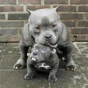 Patchara Luk Matthaya profile icon