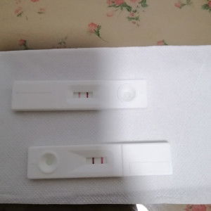 Yoshi Mikaelson profile icon