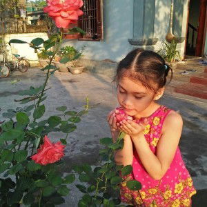 Vân Vũ profile icon