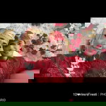 Resti Yani profile icon