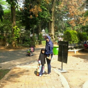 Pina Azura profile icon