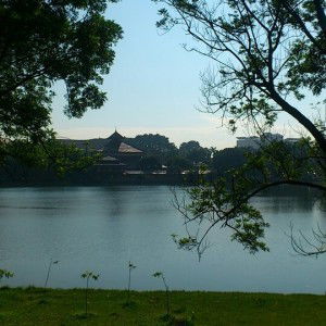 Lintang Kiranti Septiani profile icon