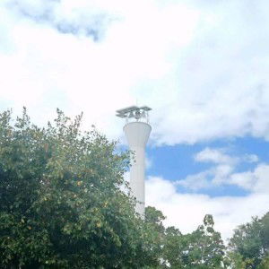 Tanya Ferrer Tan profile icon