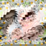 Lela Syahfitri profile icon