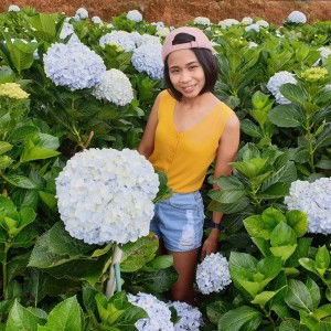 Sirinya Panitchaiyakul profile icon