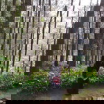 Shoimatun Nisa profile icon