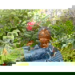 Nisachanok Kak Chaidet profile icon