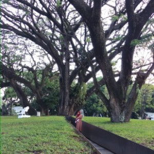 Ayy Junia profile icon