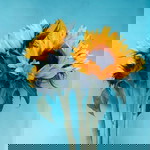 sang bayu profile icon