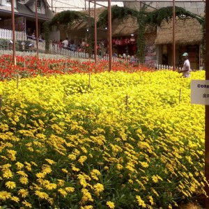 Azna Abd Rahim profile icon