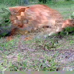 Nor Salsalbiah Abdullah profile icon