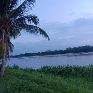 ณัฏฐ์ชยา profile icon