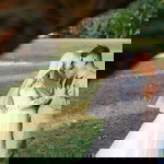 Ain NaFa profile icon