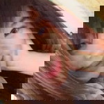 achara mitsiriwat profile icon