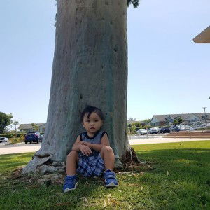 D Loraine Allao Calumnag profile icon