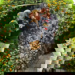 Farahafiz profile icon