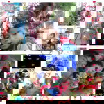 Siti Akhrozah profile icon