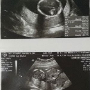 Angelica Ranas profile icon