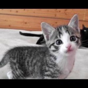 Lovely Madame profile icon