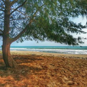 istikhanah profile icon