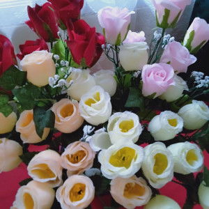 mom naara's profile icon