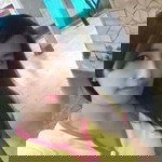 Lusi Febriani profile icon