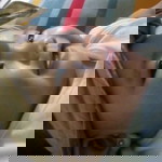 Myra De Loyola profile icon