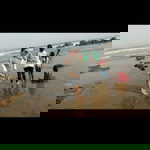 Non Usie profile icon