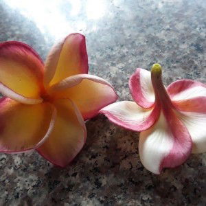 Sứ Trắng profile icon