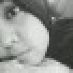 syull.sino profile icon