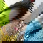 sri mulyati profile icon