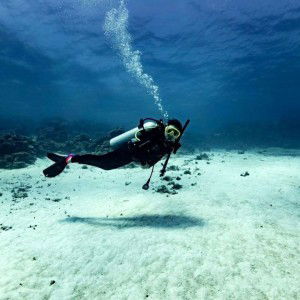 Jaslinef profile icon