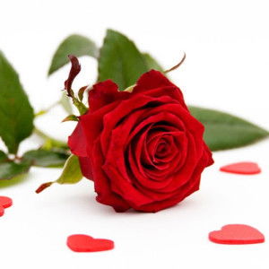 Fatcha Aisyah profile icon