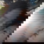 Angela Ramiso profile icon