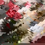 Teba Hassan profile icon