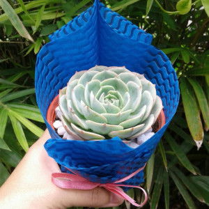 Jewel VS profile icon