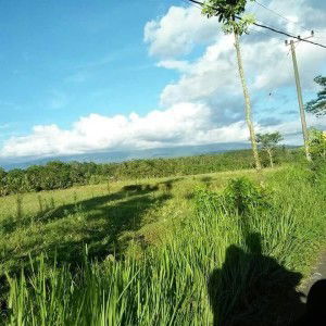 Rahma Shifa profile icon