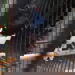 Aditya Winata profile icon