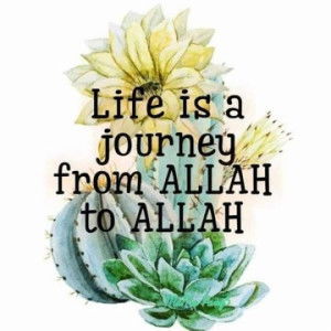 nur diyana profile icon