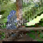 Tjempaka Ragil profile icon