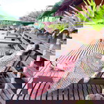 อุ้มบุญ อุ้มรัก profile icon