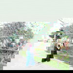 eninianti profile icon