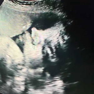 ฟาริชต้า profile icon