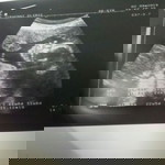 ชฎาภา profile icon