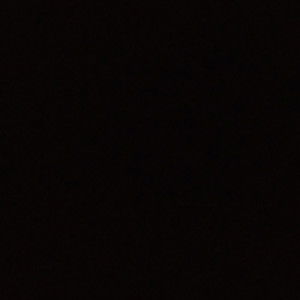 carmelita Diego profile icon