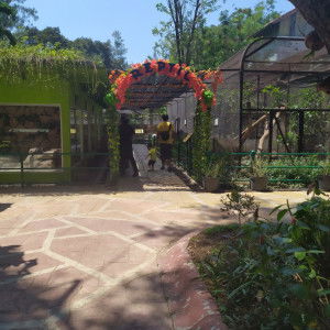 Eddy (tauwa) profile icon