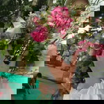 Dwi Puspitaningsih profile icon