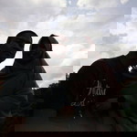 Novi Nurfadilah profile icon